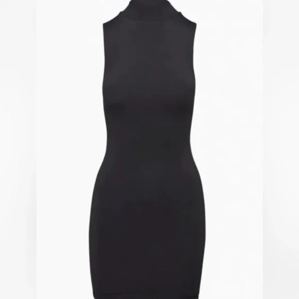 NWT Aritzia Babaton Contour Mockneck Mini Dress